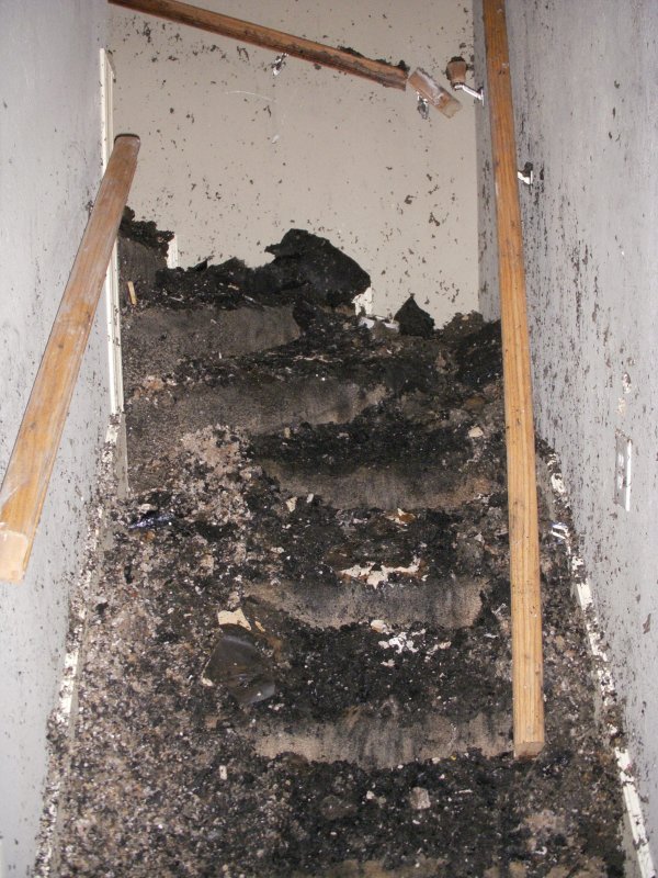 DSCN1430.JPG