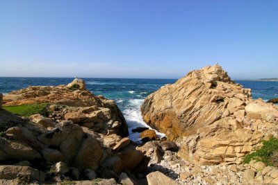 While in Monterey...a cruise around 17-Mile Drive