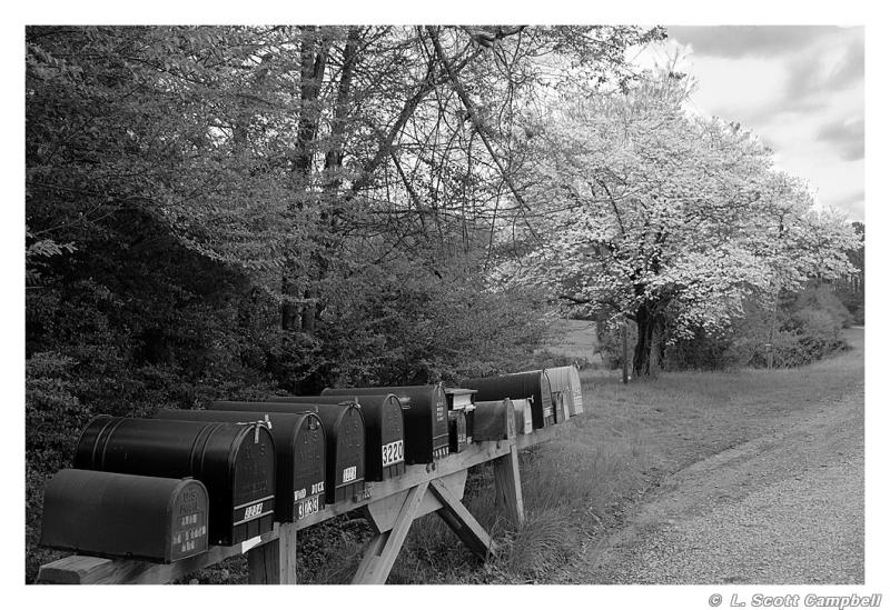 Mailboxes-Dogwood.3600.jpg