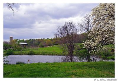 Farm.Dogwood.3613.jpg