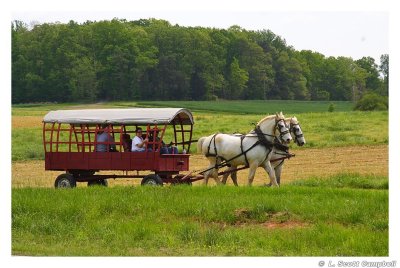 Wagon.7353.jpg