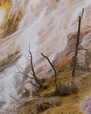 Cliff Wall at Mammoth Hot Springs.jpg