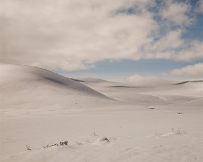 Hayden Valley Snow.jpg