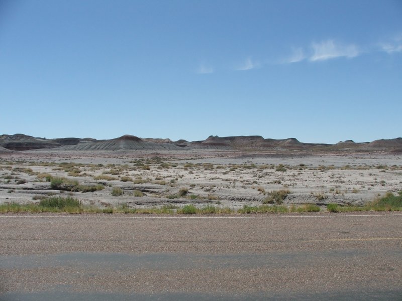 Petrified Forest National Park & Painted Desert