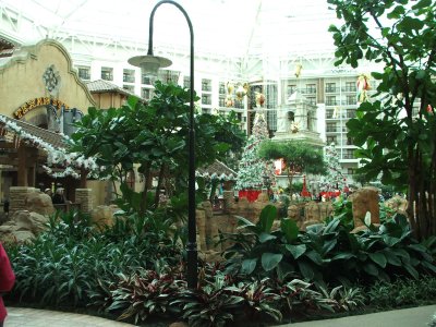 Christmas at the Gaylord Hotel, Grapevine, TX - Dec 09