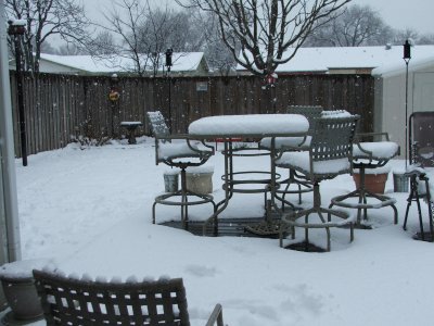 Snow in Texas - Feb, 2010