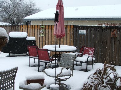 Snow in Texas - Feb, 2010