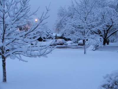 Snow in Texas - Feb, 2010