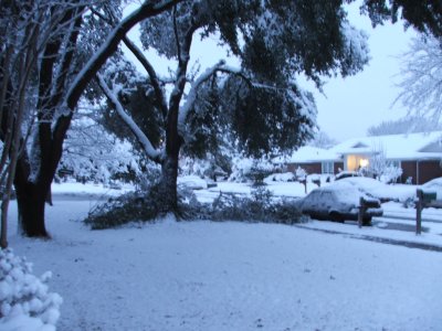 Snow in Texas - Feb, 2010