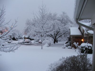 Snow in Texas - Feb, 2010
