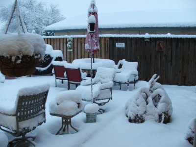 Snow in Texas - Feb, 2010