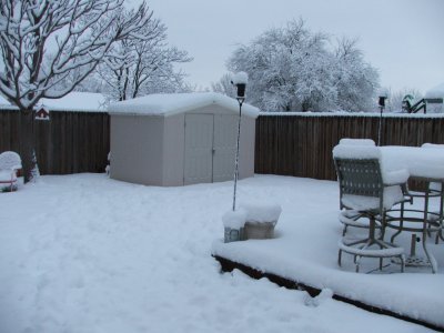 Snow in Texas - Feb, 2010
