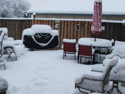 Snow in Texas - Feb, 2010