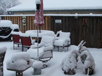 Snow in Texas! - Feb, 2010