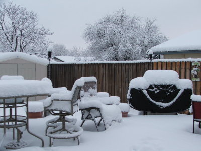 Snow in Texas - Feb, 2010