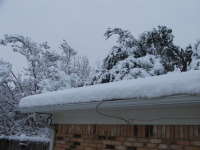 Snow in Texas - Feb, 2010