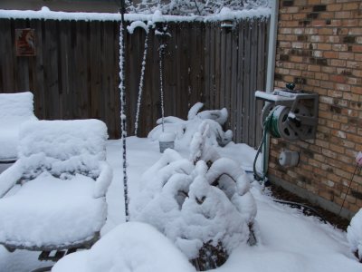 Snow in Texas - Feb, 2010