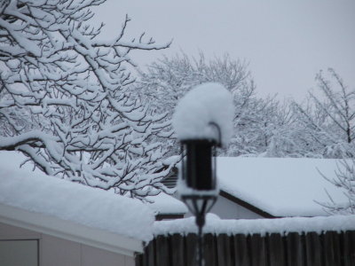 Snow in Texas - Feb, 2010
