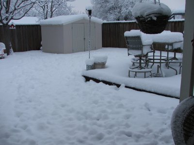 Snow in Texas - Feb, 2010