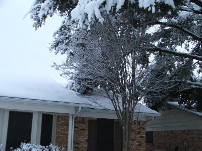 Snow in Texas - Feb, 2010