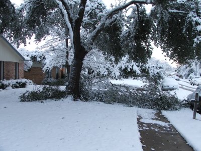 Snow in Texas - Feb, 2010