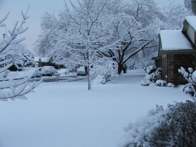 Snow in Texas - Feb, 2010