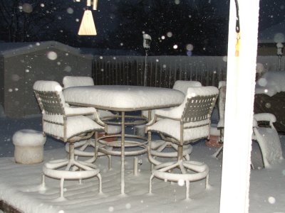 1st day of Spring in Texas - March 21, 2010