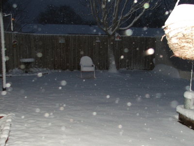 1st day of Spring in Texas - March 21, 2010