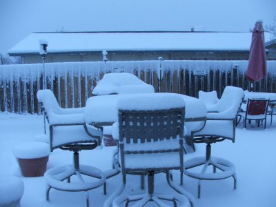 1st day of Spring in Texas - March 21, 2010