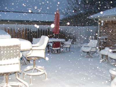 1st day of Spring in Texas - March 21, 2010