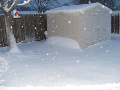1st day of Spring in Texas - March 21, 2010