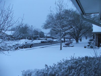 1st day of Spring in Texas - March 21, 2010