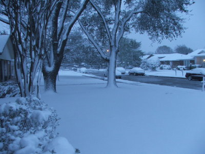 1st day of Spring in Texas - March 21, 2010