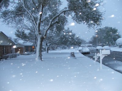 1st day of Spring in Texas - March 21, 2010