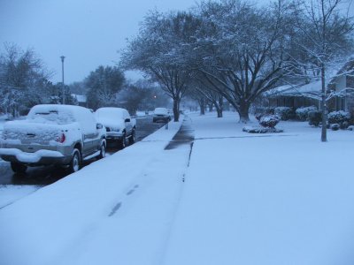 1st day of Spring in Texas - March 21, 2010