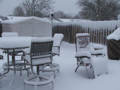 1st day of Spring in Texas - March 21, 2010