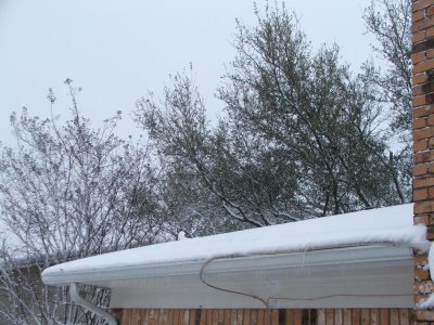 1st day of Spring in Texas - March 21, 2010