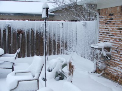 1st day of Spring in Texas - March 21, 2010