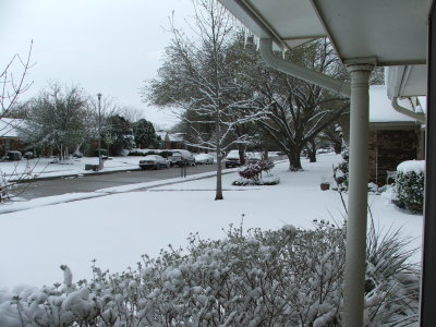 1st day of Spring in Texas - March 21, 2010