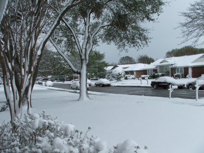 1st day of Spring in Texas - March 21, 2010