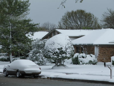 1st day of Spring in Texas - March 21, 2010