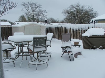 Spring in Texas - March 21, 2010