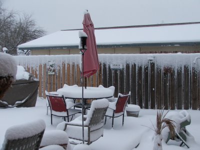 1st day of Spring in Texas - March 21, 2010