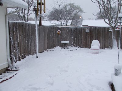 1st day of Spring in Texas - March 21, 2010