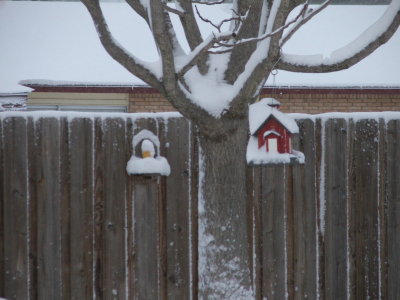 1st day of Spring in Texas - March 21, 2010