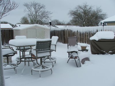 1st day of Spring in Texas - March 21, 2010