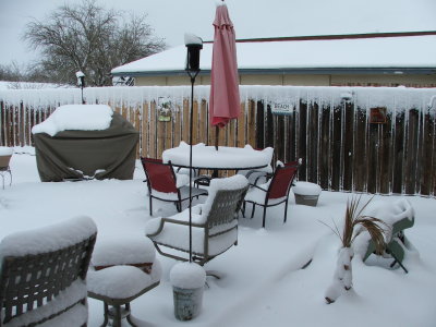 Spring in Texas - March 21, 2010