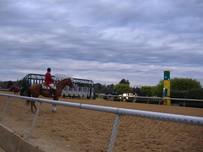 Horse Races - Oaklawn Park