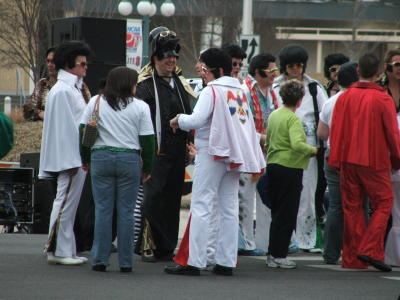 Elvis
