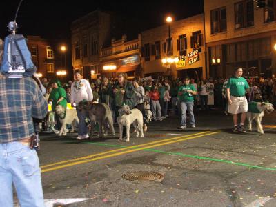 Irish Wolfhounds